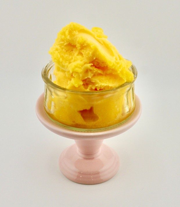 Mango Sorbet 16oz Pint - 8 Pack